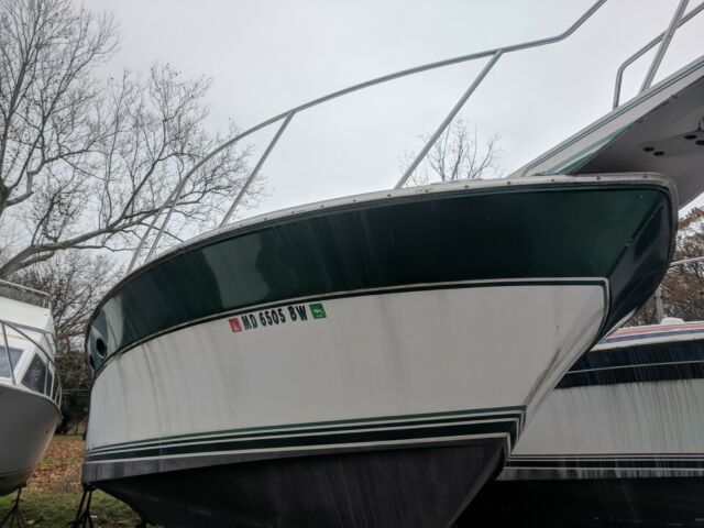 1988 Wellcraft Grand Sport Cuddie