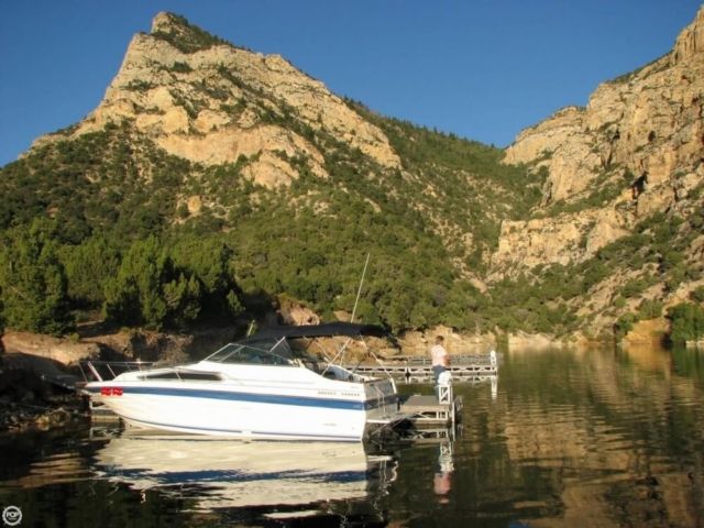 1989 Sea Ray 268 Sundancer Cruiser (Power)