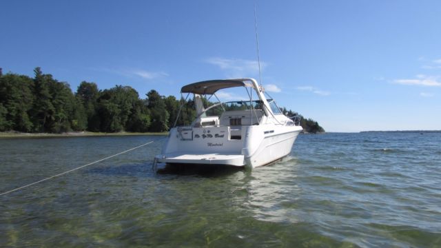 1993 Sea Ray Sundancer 290 DA Aft Cabin