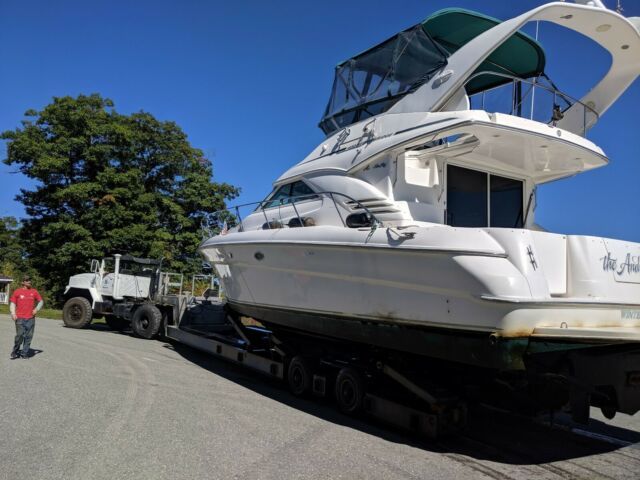 1996 Sea Ray Sedan Bridge