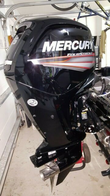 2016 Lowe Stinger 180 Bass