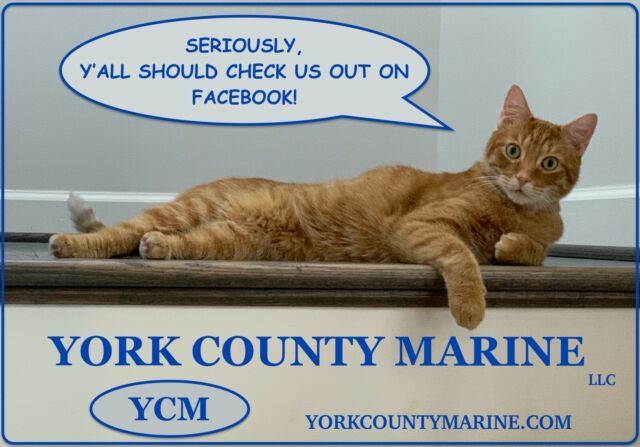 1989 Boston Whaler 150 Sport