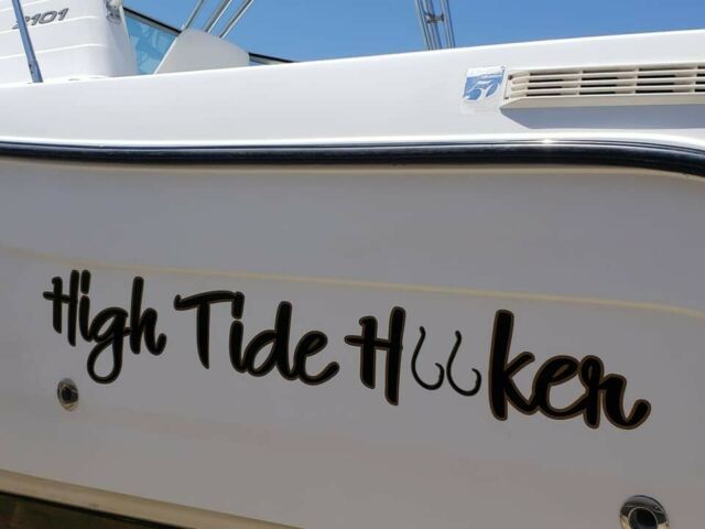 2003 Seaswirl 2101 DC saltwate